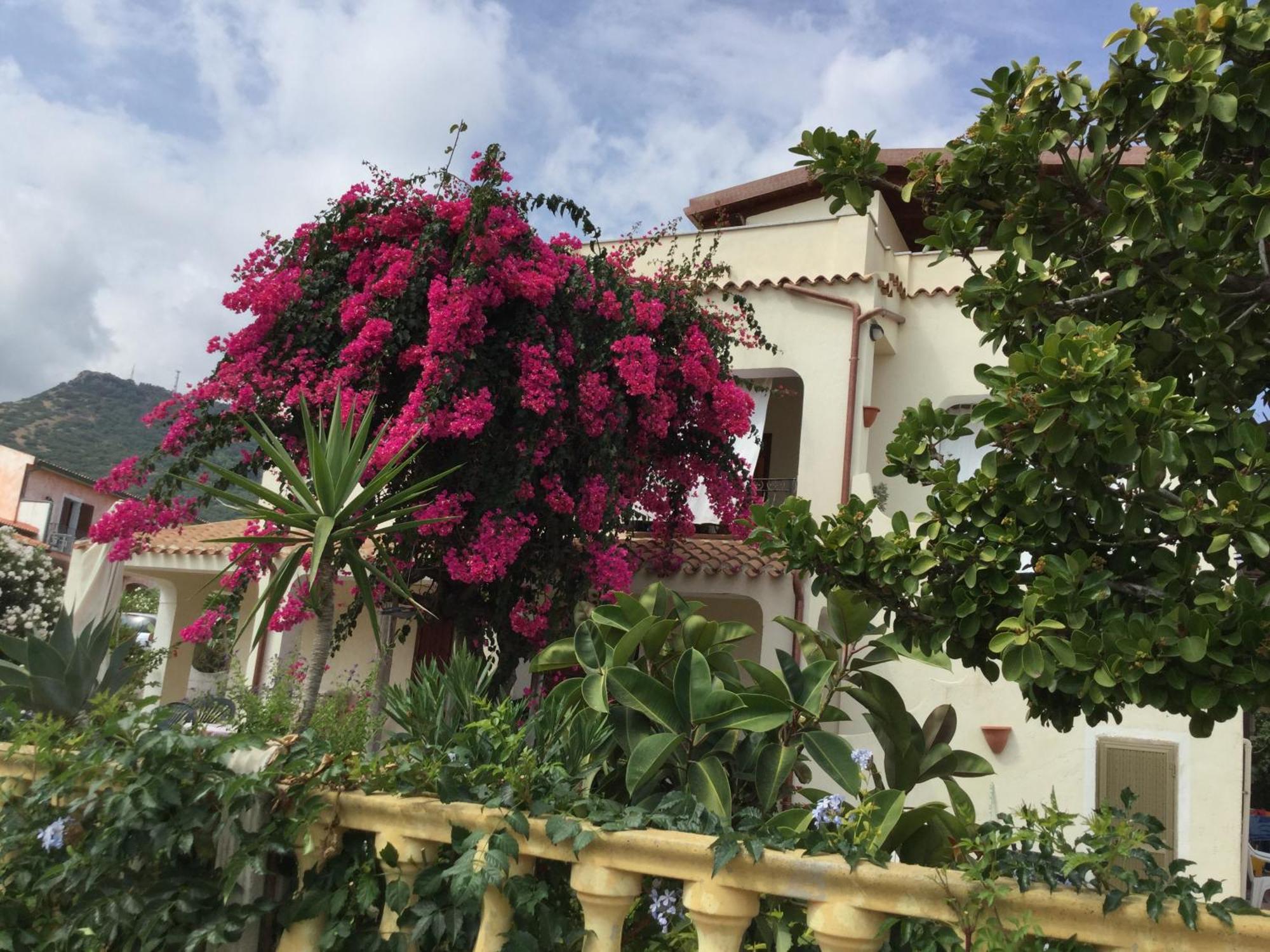 Villa Bouganville Valledoria  Ngoại thất bức ảnh